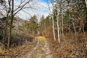 Secluded Land For Sale with Views of the Mississippi River – Vernon County, WI