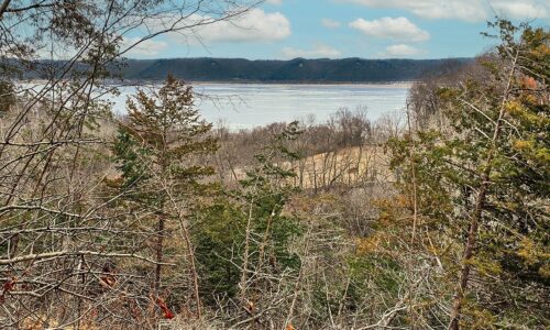 Secluded Land For Sale with Views of the Mississippi River – Vernon County, WI