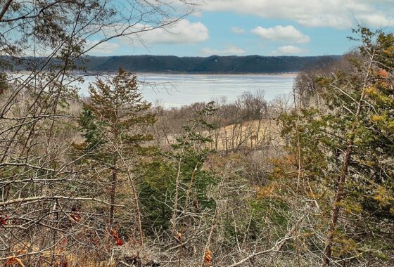 Secluded Land For Sale with Views of the Mississippi River – Vernon County, WI