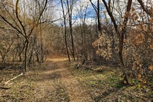 Secluded Land For Sale with Views of the Mississippi River – Vernon County, WI