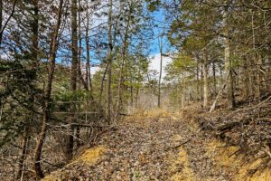 Secluded Land For Sale with Views of the Mississippi River – Vernon County, WI