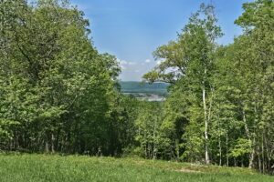 Blufftop property for sale with view of Mississippi River, in Southwest Wisconsin