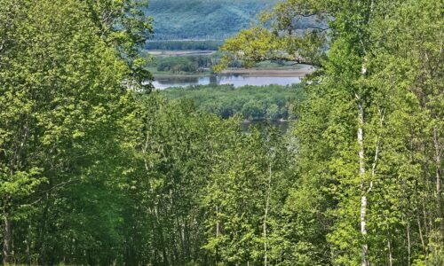 Blufftop property for sale with view of Mississippi River, in Southwest Wisconsin