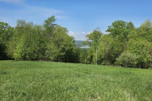 Blufftop property for sale with view of Mississippi River, in Southwest Wisconsin