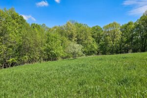 Blufftop property for sale with view of Mississippi River, in Southwest Wisconsin