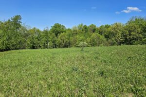Blufftop property for sale with view of Mississippi River, in Southwest Wisconsin