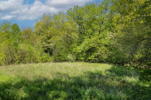 Blufftop property for sale with view of Mississippi River, in Southwest Wisconsin
