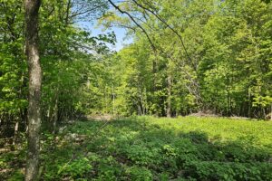 Blufftop property for sale with view of Mississippi River, in Southwest Wisconsin