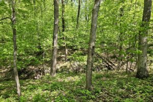 Blufftop property for sale with view of Mississippi River, in Southwest Wisconsin
