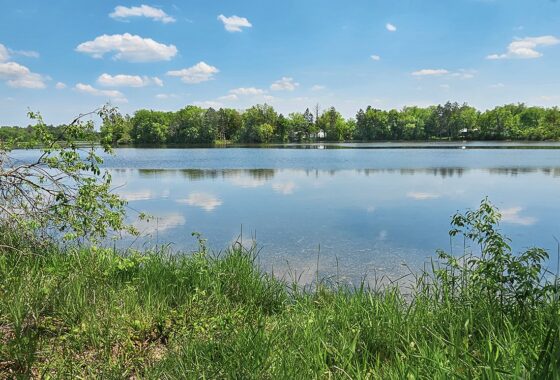 Prime lakefront land for sale in west-central Wisconsin