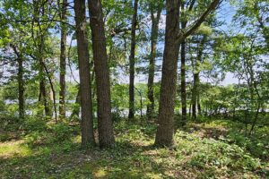 Prime lakefront land for sale in west-central Wisconsin