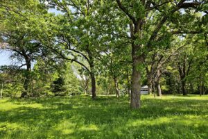 Prime lakefront land for sale in west-central Wisconsin