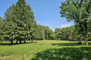 Prime lakefront land for sale in west-central Wisconsin