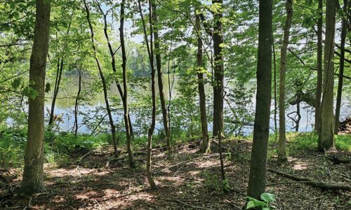 Waterfront land for sale in Monroe County, WI