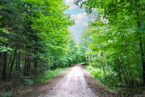 Wooded land for sale in Forest County, WI