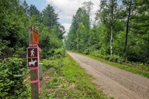 Land for sale in Northwest Wisconsin near Tuscobia State Trail.