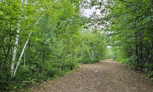 Recreational land for sale near Hayward, WI in Sawyer County