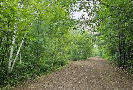 Recreational land for sale near Hayward, WI in Sawyer County