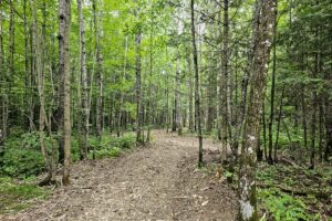 Recreational land for sale near Hayward, WI in Sawyer County