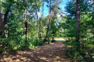 Land for sale near Wisconsin Dells in Adams County, WI