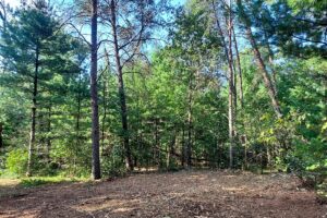 Land for sale near Wisconsin Dells in Adams County, WI