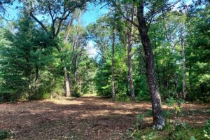 Land for sale near Wisconsin Dells in Adams County, WI