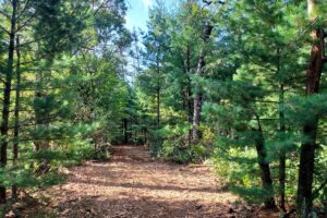 Land for sale near Wisconsin Dells in Adams County, WI