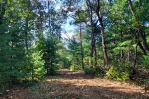 Land for sale near Wisconsin Dells in Adams County, WI