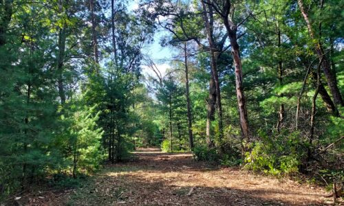 Land for sale near Wisconsin Dells in Adams County, WI