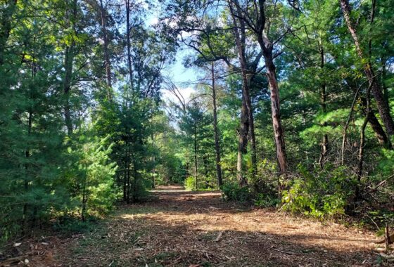 Land for sale near Wisconsin Dells in Adams County, WI