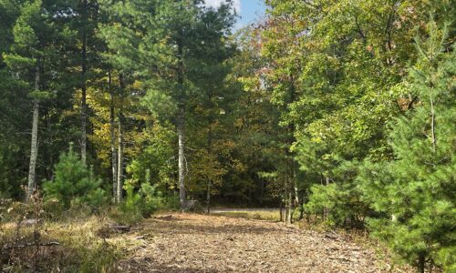 Recreational land for sale in Northern WI near Barnes, WI