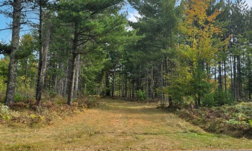 Secluded land for sale in Bayfield County, WI