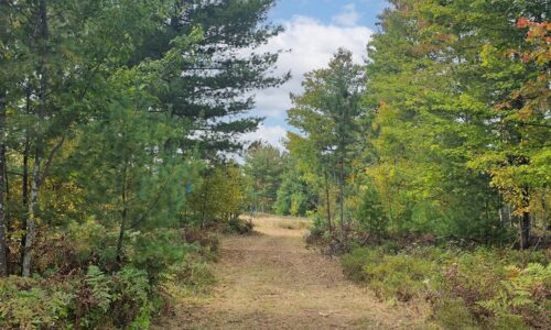 5 Acre land for sale near Barnes, WI and Eau Claire Chain of Lakes