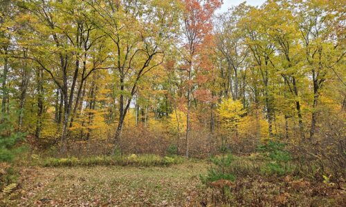 Marinette County, WI land for sale
