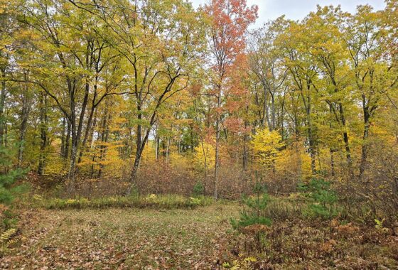 Marinette County, WI land for sale