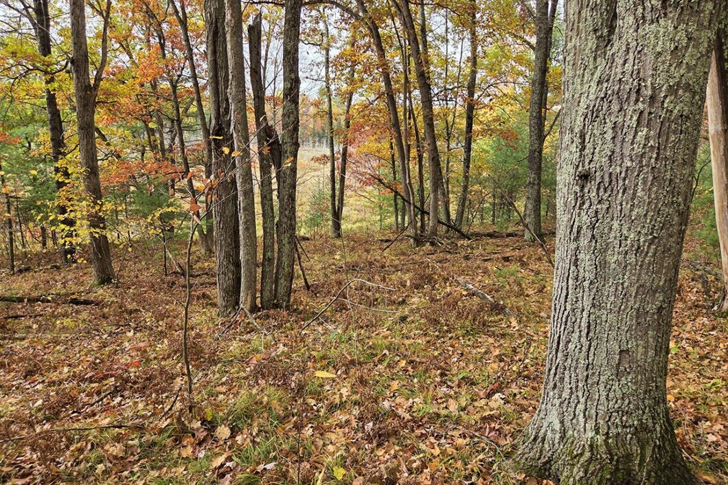 Secluded land for sale near Peshtigo River State Forest