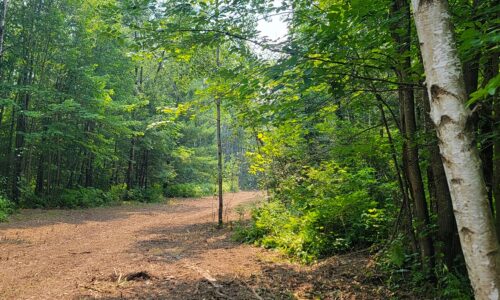 Recreational Land For Sale near Couderay, WI and Tuscobia State Trail