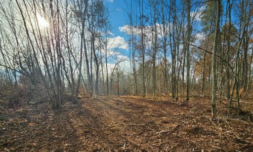 Hunting and recreational property for sale in Burnett County near Webster, WI.