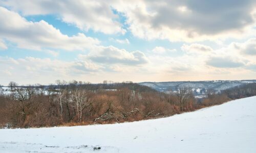 Buildable wooded land for sale in Southern Wisconsin Driftless Region