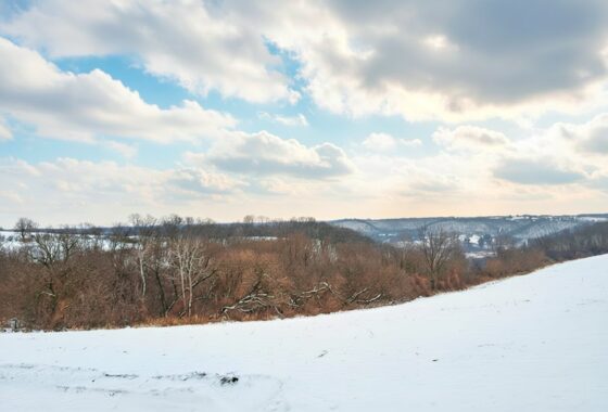 Buildable wooded land for sale in Southern Wisconsin Driftless Region