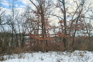 Buildable wooded land for sale in Southern Wisconsin Driftless Region