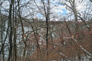 Buildable wooded land for sale in Southern Wisconsin Driftless Region
