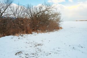 Buildable wooded land for sale in Southern Wisconsin Driftless Region