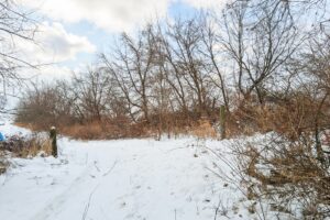 Buildable wooded land for sale in Southern Wisconsin Driftless Region