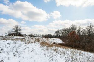Buildable wooded land for sale in Southern Wisconsin Driftless Region