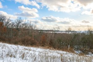 Buildable wooded land for sale in Southern Wisconsin Driftless Region