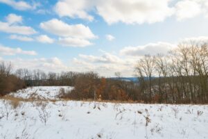 Buildable wooded land for sale in Southern Wisconsin Driftless Region