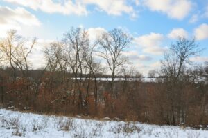 Buildable wooded land for sale in Southern Wisconsin Driftless Region