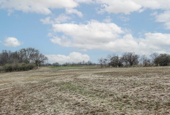 Wooded land for sale overlooking the Kickapoo River Valley