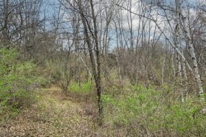 Wooded land for sale overlooking the Kickapoo River Valley